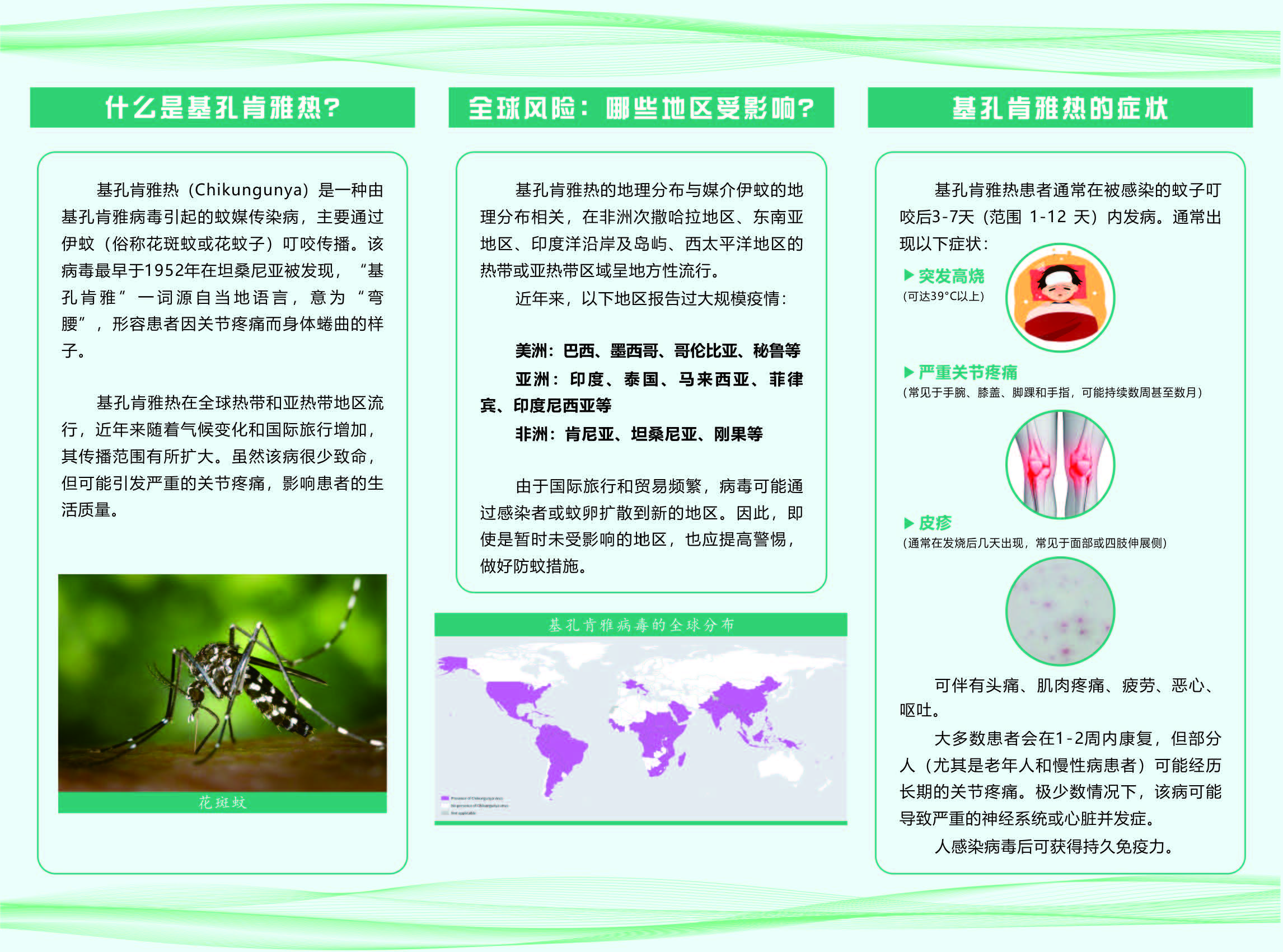 预防基孔肯雅热